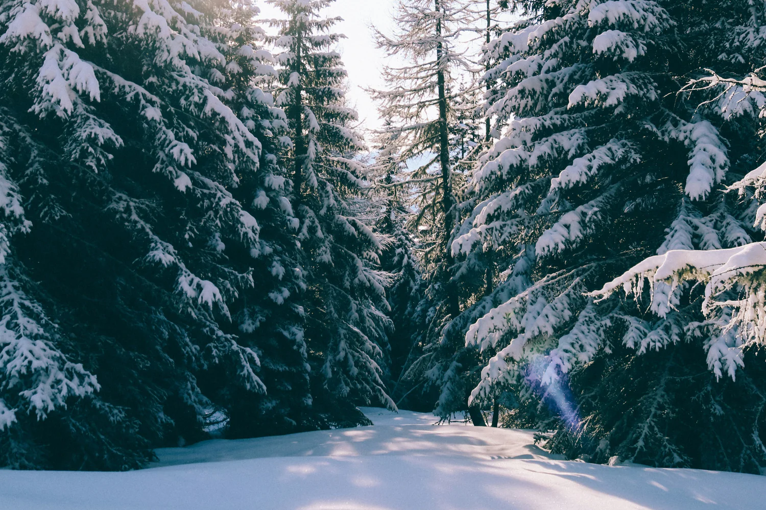 Löydä täydellinen tuoksusi vaivatta